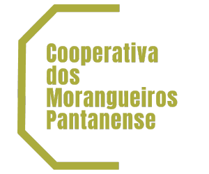cooperativa