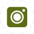 icone Instagram