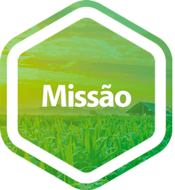 Missão