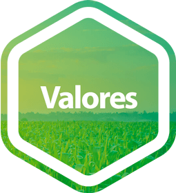 Valores