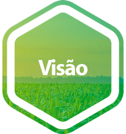 Visão